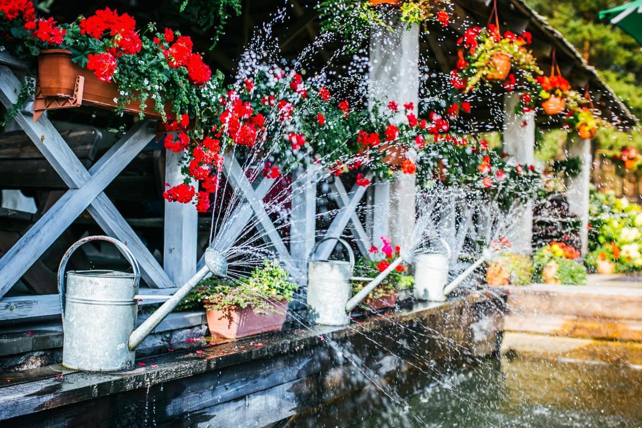 Pirciupio Karcema Otel Pirciupiai Dış mekan fotoğraf